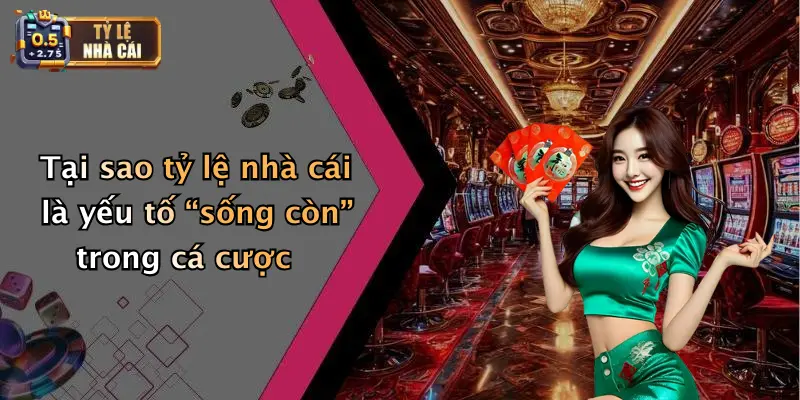 Tại sao tỷ lệ nhà cái là yếu tố “sống còn” trong cá cược